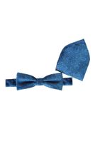 Fliege mit Einstecktuch