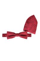 Fliege mit Einstecktuch