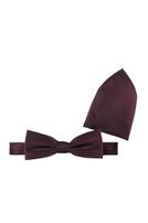 Fliege mit Einstecktuch