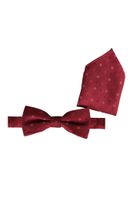 Fliege mit Einstecktuch