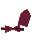 Fliege mit Einstecktuch